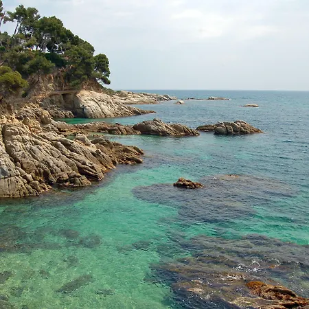 Htop Caleta Palace - Bliss 4*