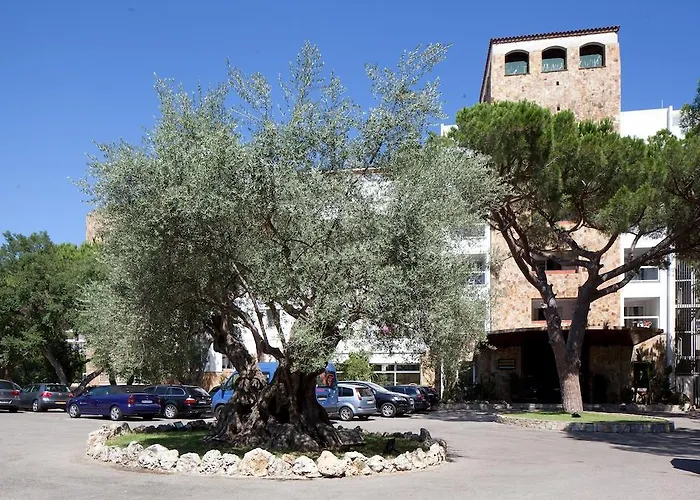 Hotel Htop Caleta Palace #htopbliss 4*